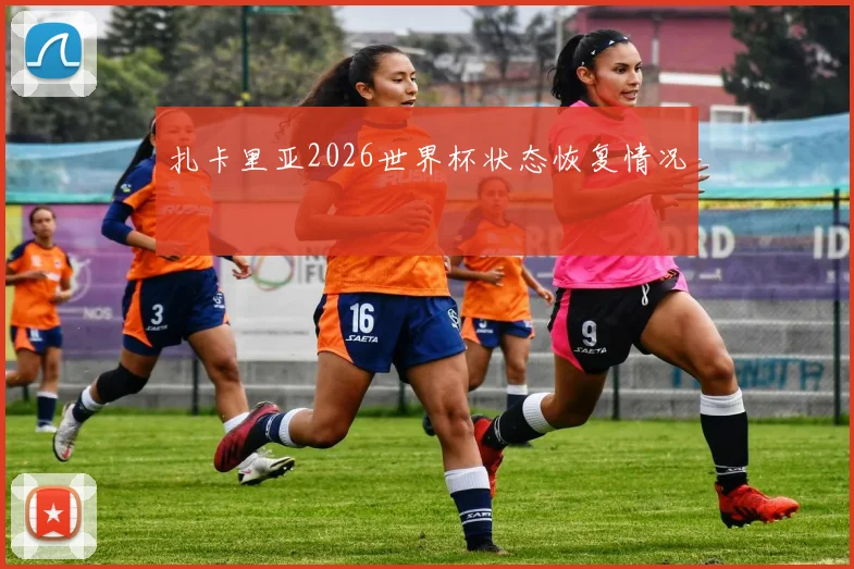 扎卡里亚2026世界杯状态恢复情况