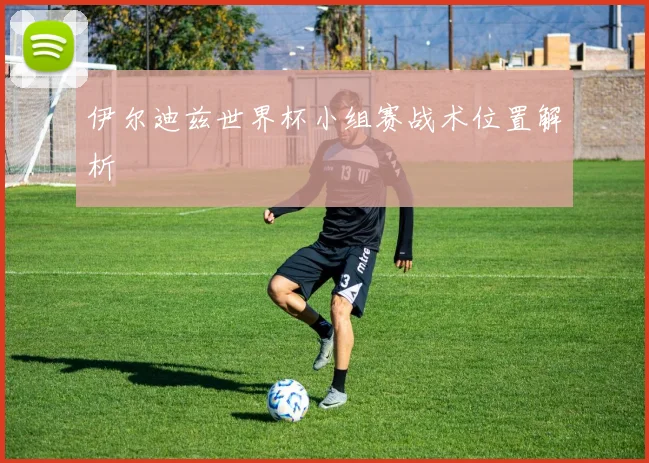 伊尔迪兹世界杯小组赛战术位置解析
