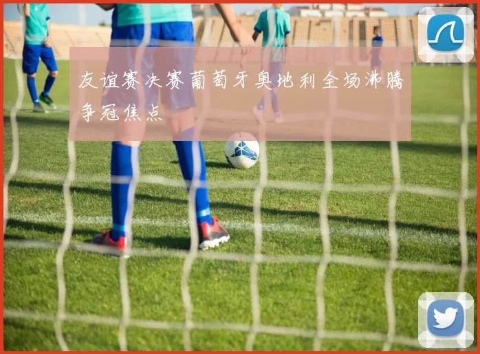 友谊赛决赛葡萄牙奥地利全场沸腾争冠焦点