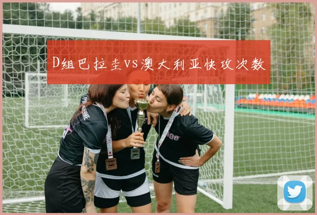 D组巴拉圭vs澳大利亚快攻次数