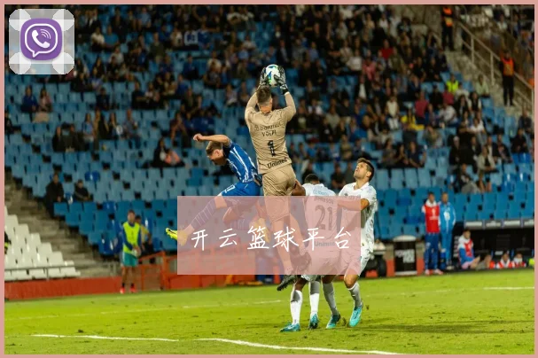 开云篮球平台