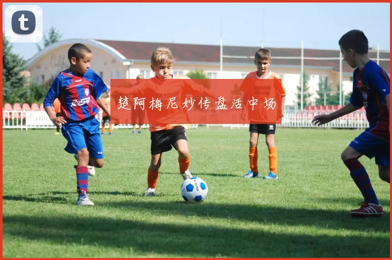楚阿梅尼妙传盘活中场