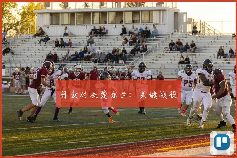 丹麦对决爱尔兰：关键战役