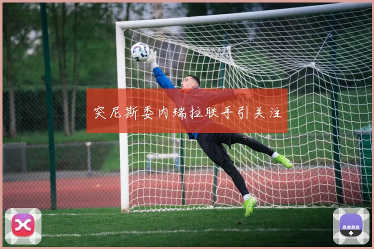 突尼斯委内瑞拉联手引关注