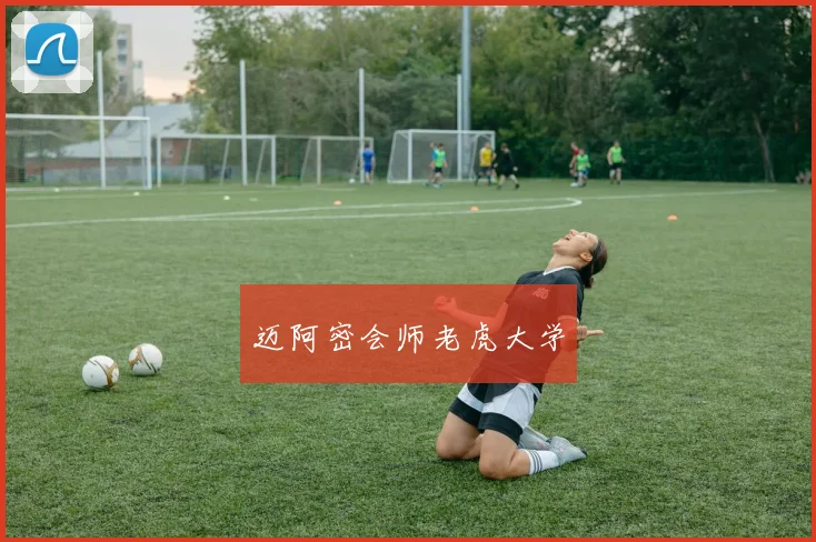 迈阿密会师老虎大学
