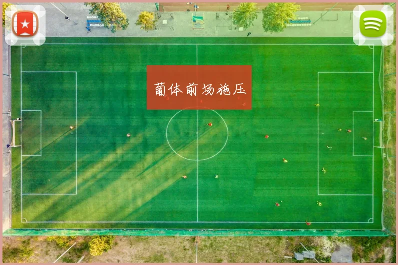 葡体前场施压