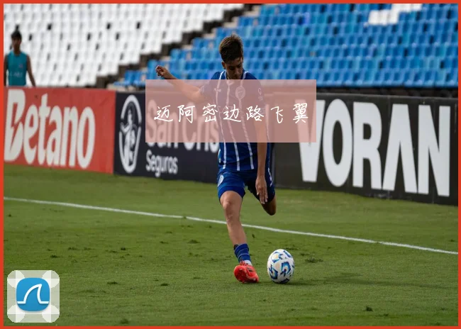 迈阿密边路飞翼