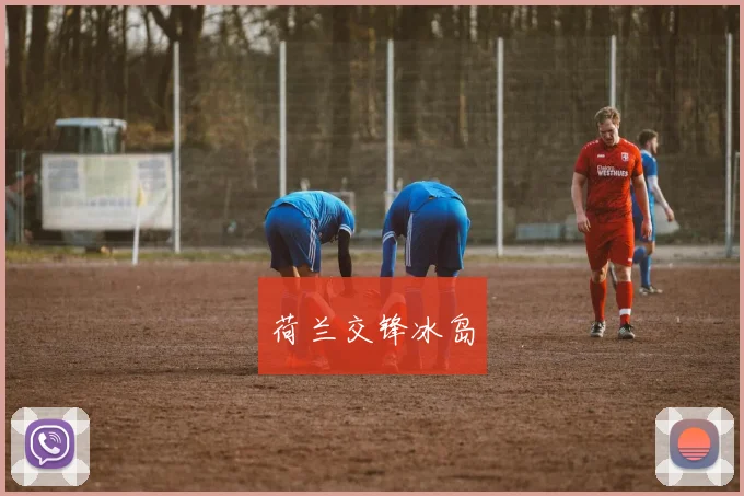 荷兰交锋冰岛