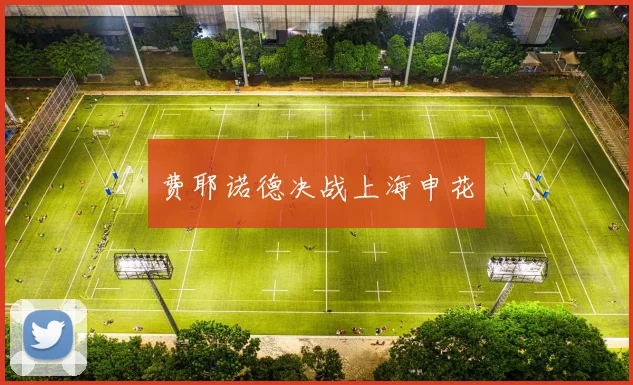 费耶诺德决战上海申花
