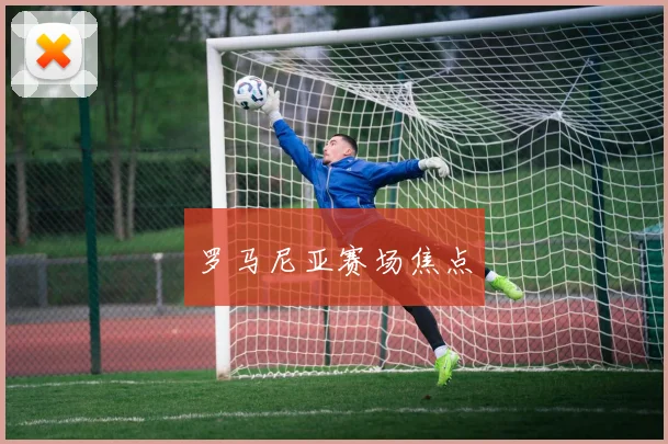 罗马尼亚赛场焦点