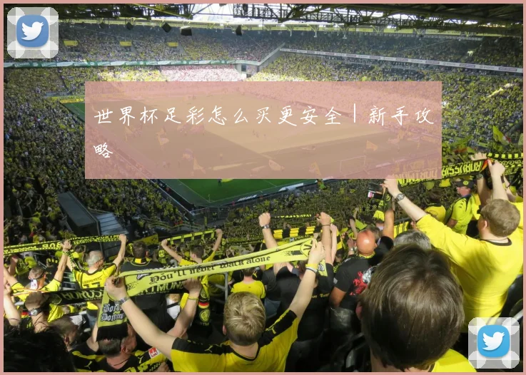 世界杯足彩怎么买更安全｜新手攻略