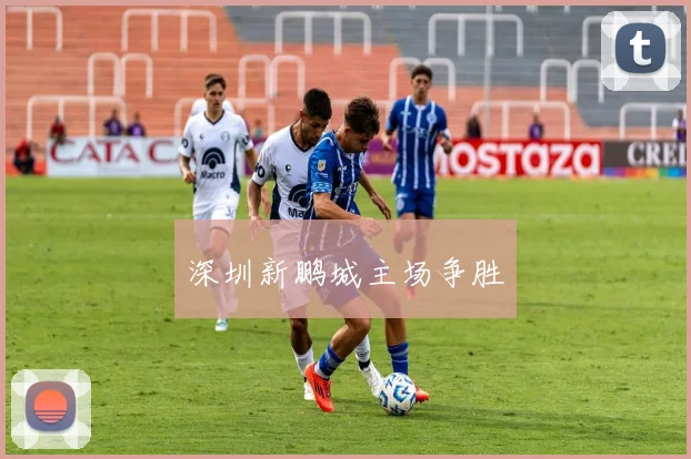 深圳新鹏城主场争胜