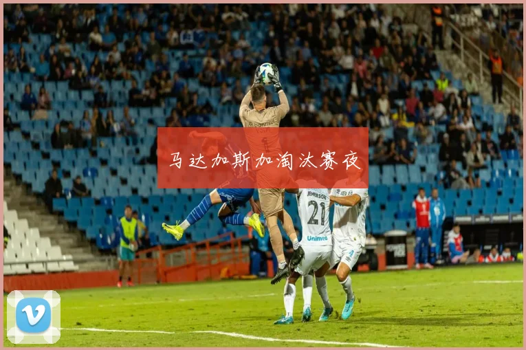 马达加斯加淘汰赛夜
