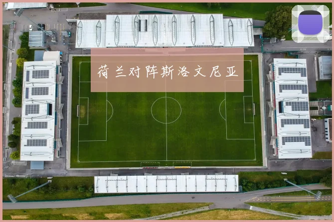 荷兰对阵斯洛文尼亚
