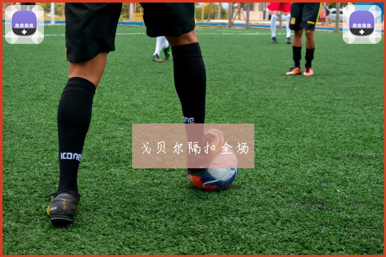 戈贝尔隔扣全场