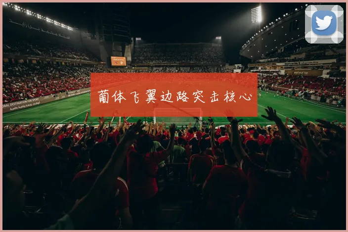 葡体飞翼边路突击核心