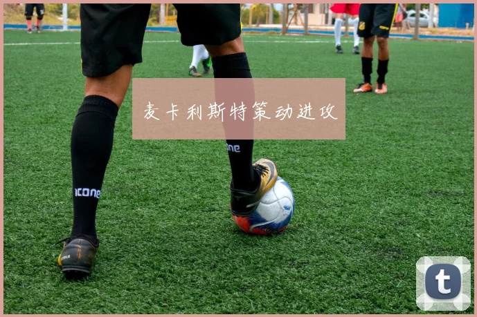 麦卡利斯特策动进攻