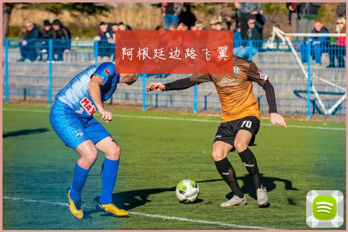阿根廷边路飞翼
