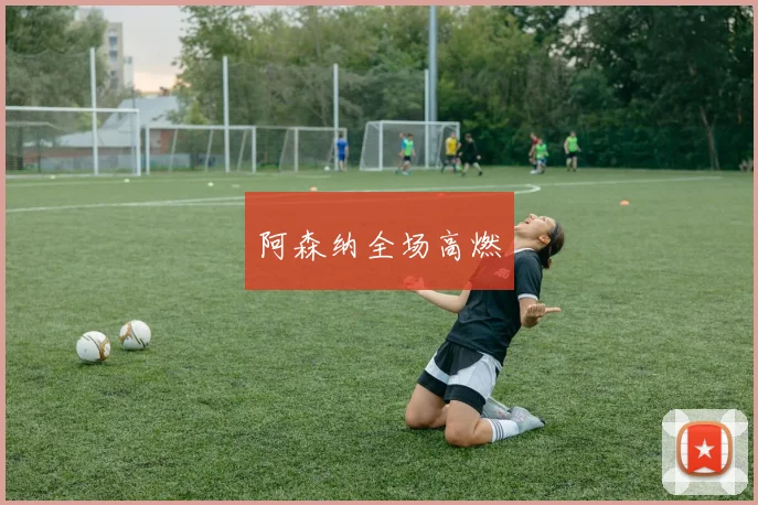 阿森纳全场高燃