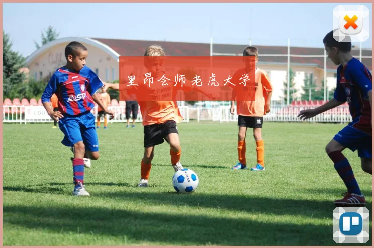 里昂会师老虎大学