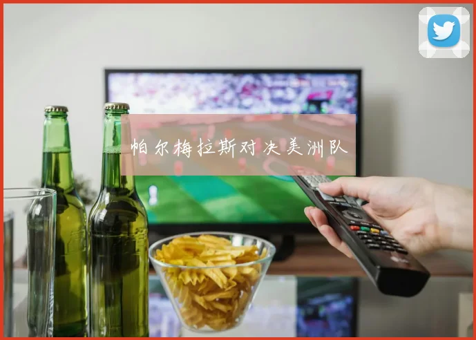 帕尔梅拉斯对决美洲队