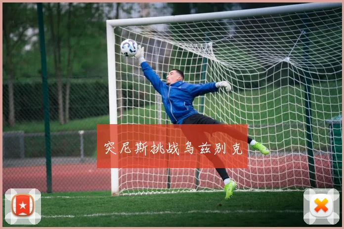 突尼斯挑战乌兹别克