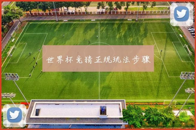 世界杯竞猜正规玩法步骤