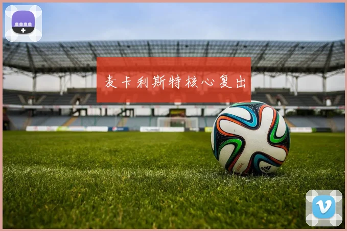 麦卡利斯特核心复出