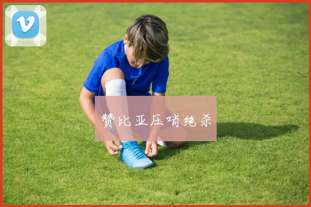 赞比亚压哨绝杀