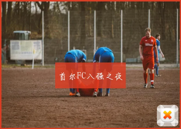 首尔FC八强之夜