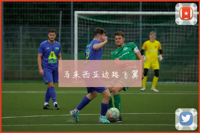 马来西亚边路飞翼