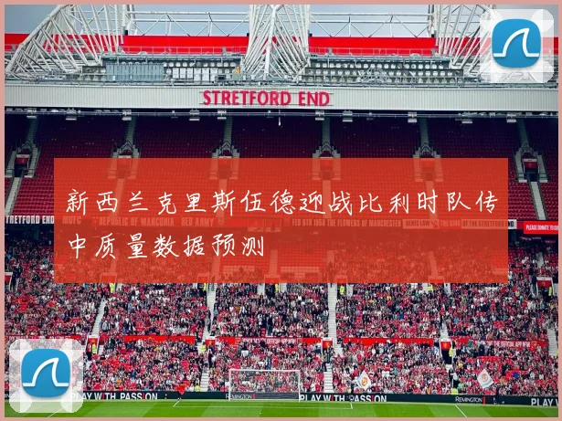 新西兰克里斯伍德迎战比利时队传中质量数据预测