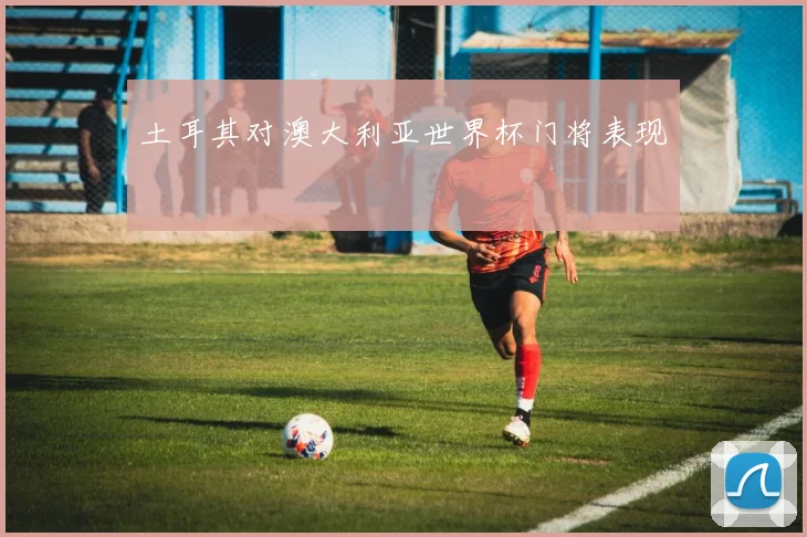 土耳其对澳大利亚世界杯门将表现