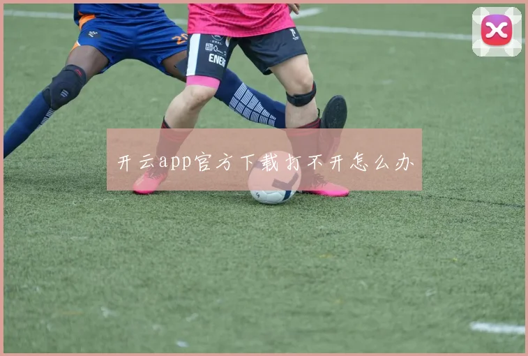 开云app官方下载打不开怎么办