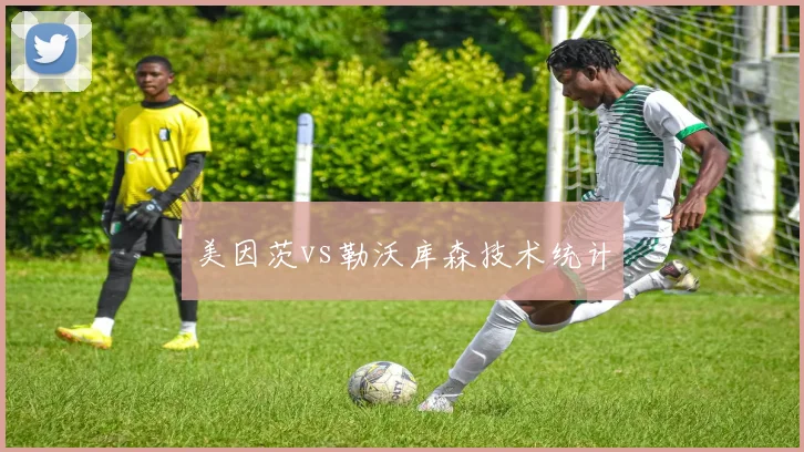 美因茨vs勒沃库森技术统计